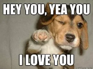 ❤️-Indian steal pack 2, Telegram Sticker