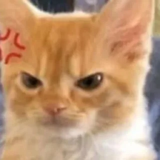 😡-minhas !, Telegram Sticker