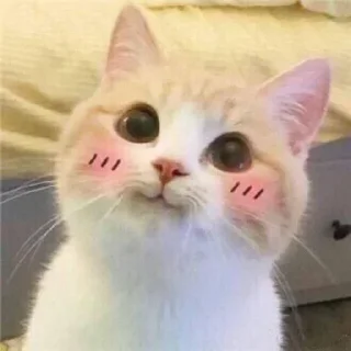 🥺- BY ABS@IQ_ABS , Telegram Sticker