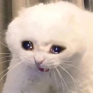 😭- BY ABS@IQ_ABS , Telegram Sticker
