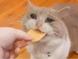 🥺- BY ABS@IQ_ABS , Telegram Sticker