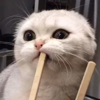 😕- BY ABS@IQ_ABS , Telegram Sticker