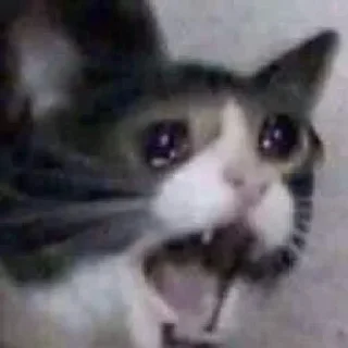 😭- BY ABS@IQ_ABS , Telegram Sticker