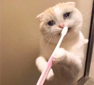 😭- BY ABS@IQ_ABS , Telegram Sticker
