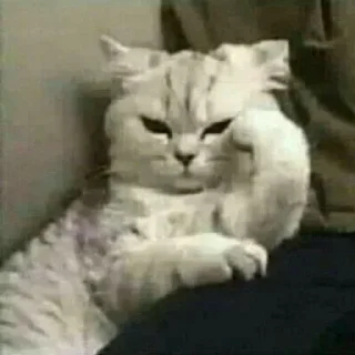 😒- BY ABS@IQ_ABS , Telegram Sticker
