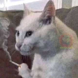 😐- BY ABS@IQ_ABS , Telegram Sticker