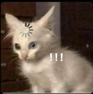 🤨- BY ABS@IQ_ABS , Telegram Sticker
