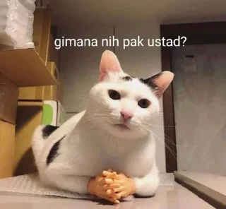 👳‍♂-meme ito @papiabel, Telegram Sticker
