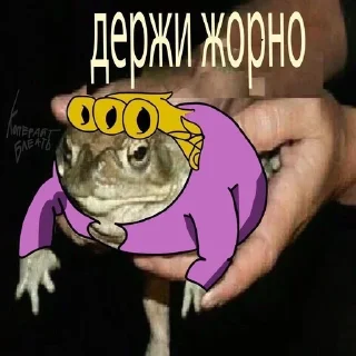 🐸-Жожо :: @fStikBot, Telegram Sticker