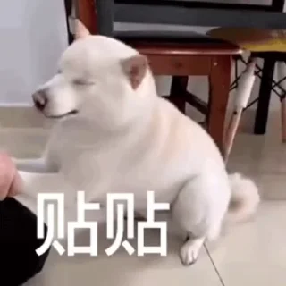 🌟-真人游戏第一品牌 @J9_NB, Telegram Sticker