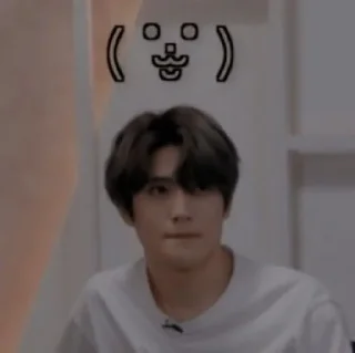 🙄-﹗𝆹 Jaehyun mood ٫ @stickernct ⋆ 𓏲, Telegram Sticker