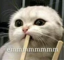 😔-oooo, Telegram Sticker