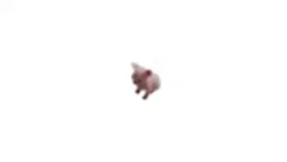 💃-Мяу @shert_dialog, Telegram Sticker