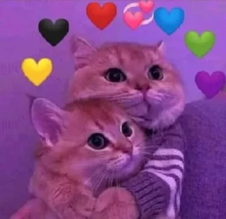 ♥️-جود و لين تاج راسكم, Telegram Sticker