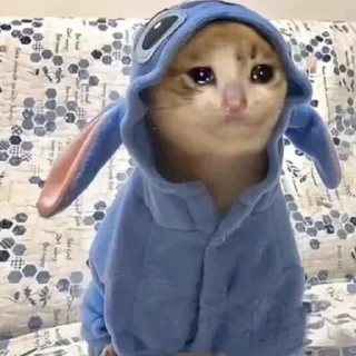 🙊-جود و لين تاج راسكم, Telegram Sticker