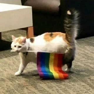 🏳‍🌈-جود و لين تاج راسكم, Telegram Sticker