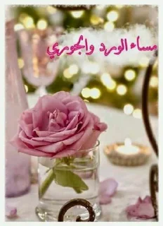 🌹-جود و لين تاج راسكم, Telegram Sticker