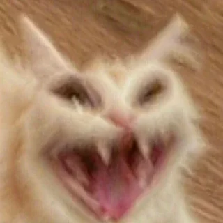 😂-جود و لين تاج راسكم, Telegram Sticker
