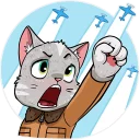 💪-Kamikaze Cat, Telegram Sticker