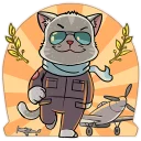 😎-Kamikaze Cat, Telegram Sticker