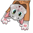😲-Kamikaze Cat, Telegram Sticker