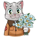 😇-Kamikaze Cat, Telegram Sticker