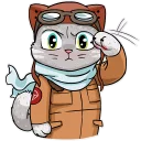 🙂-Kamikaze Cat, Telegram Sticker