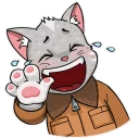 Kamikaze Cat