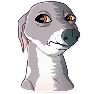 😐-Kermit The Dog, Telegram Sticker