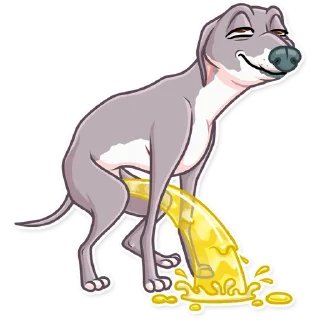 🚽-Kermit The Dog, Telegram Sticker