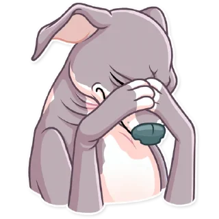 🤦‍♂️-Kermit The Dog, Telegram Sticker