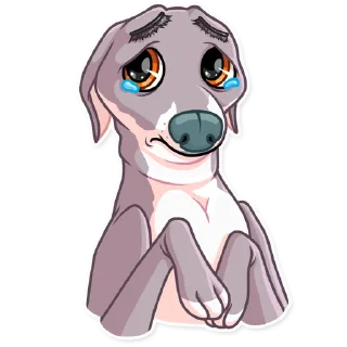 🥺-Kermit The Dog, Telegram Sticker