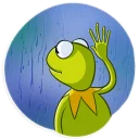 🌧-Kermit the Frog, Telegram Sticker