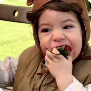 🌟-анварик :: @fStikBot, Telegram Sticker