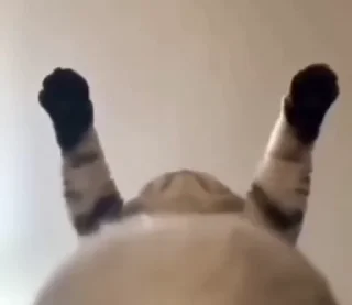 🌟-2 by @suddenl0v3 :: @fStikBot, Telegram Sticker