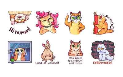 Meme Cats