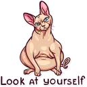 😑-Meme Cats, Telegram Sticker