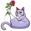 🌹-Meme Cats, Telegram Sticker