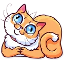🙏-Meme Cats, Telegram Sticker