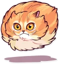 🏃-Meme Cats, Telegram Sticker