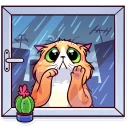 🌧-Meme Cats, Telegram Sticker