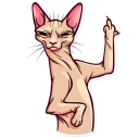 🖕-Meme Cats, Telegram Sticker