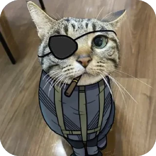 🫥-@mgslll {Karrar} 4, Telegram Sticker