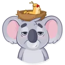 💤-Koala Chuck, Telegram Sticker