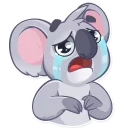 😭-Koala Chuck, Telegram Sticker