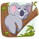 😴-Koala Chuck, Telegram Sticker