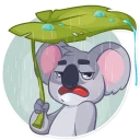 ☔-Koala Chuck, Telegram Sticker