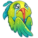 😥-Kolibri, Telegram Sticker
