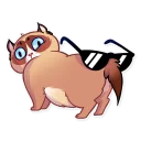 😎-ooky at, Telegram Sticker