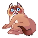 😟-ooky at, Telegram Sticker